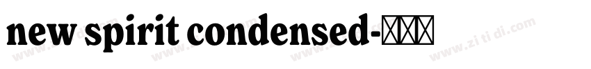new spirit condensed字体转换 new spirit condensed字体转换